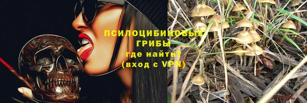 марихуана Абаза